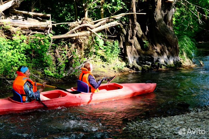 Сплавы по рекам Рязанской области на байдарках