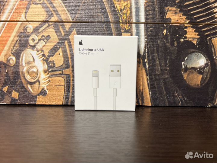 Lightning to USB Cable (1m)