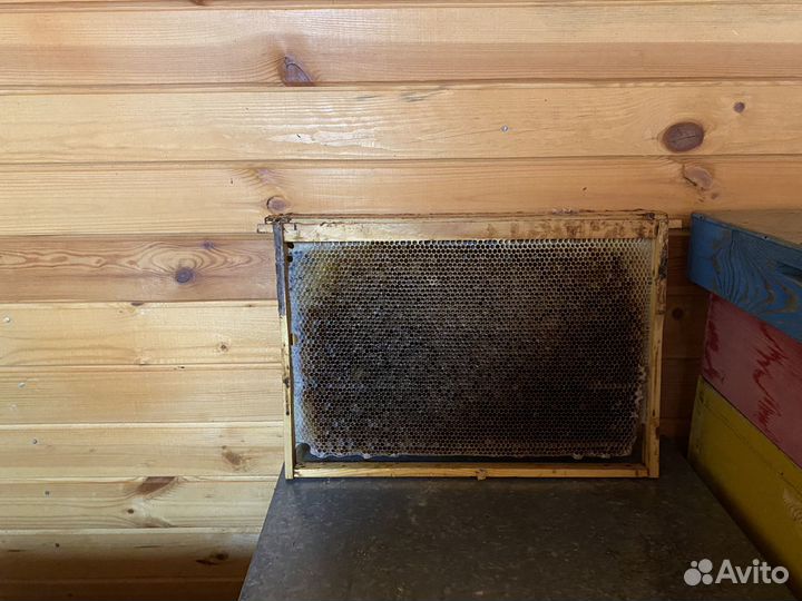 Ульи для пчёл