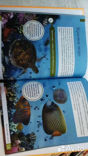 Умная энциклопедия. Океаны