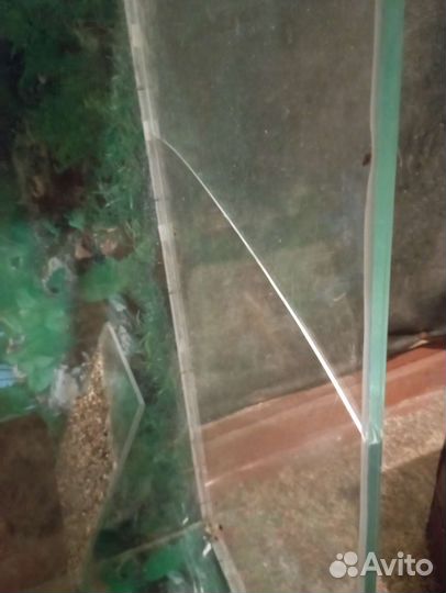 Террариум для черепахи