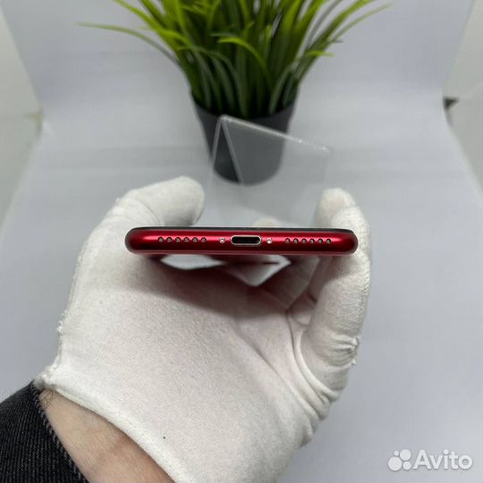 iPhone SE (2020), 256 ГБ