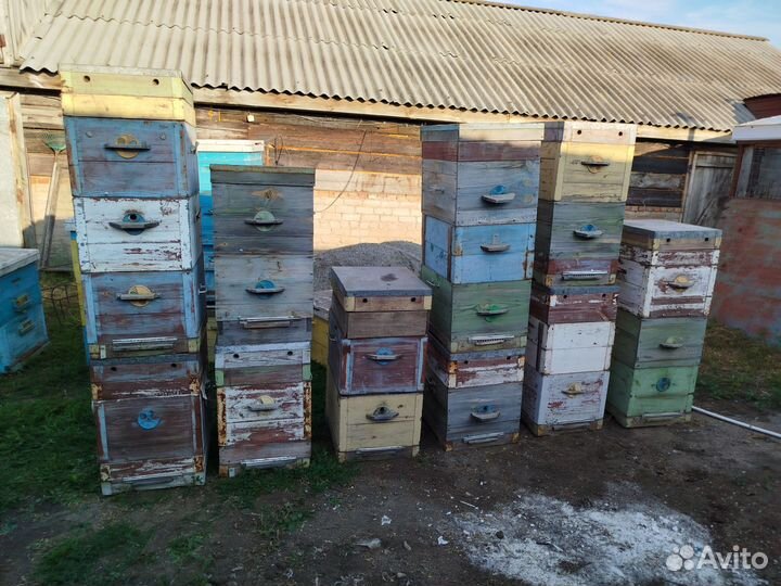 Улей для пчел бу