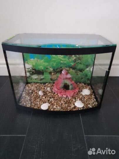 Аквариум