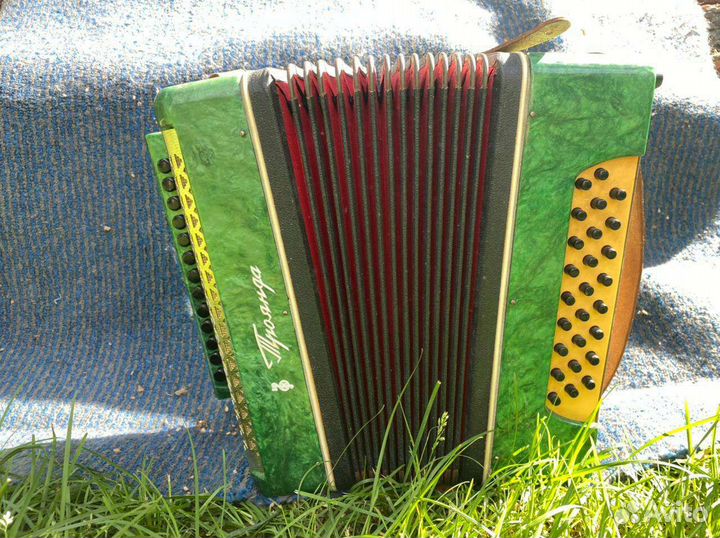 Гармонь Троянда