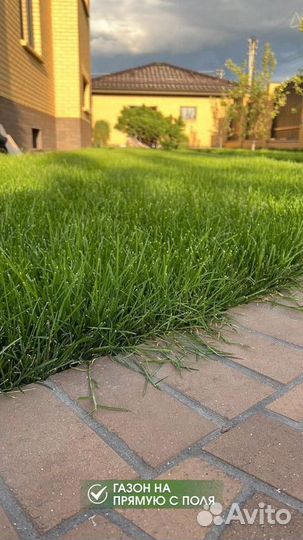 Рулонный газон с доставкой