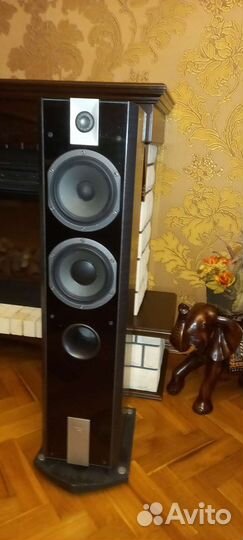 Focal Chorus 816 V