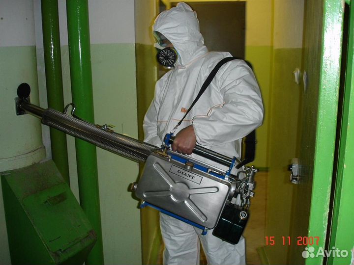 Дезинфекция насекомых грызуны плесени Благовещенск