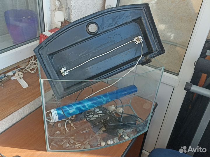 Аквариумные рыбки