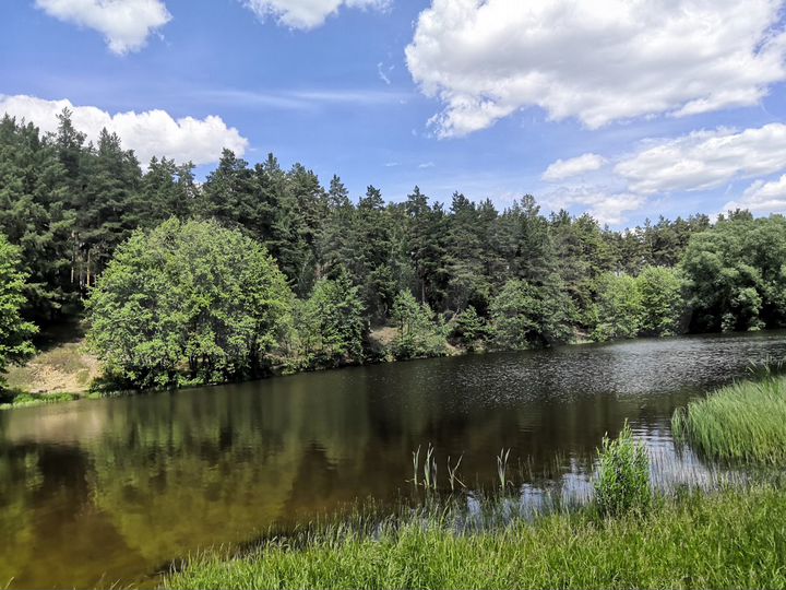 Дом 21 м² на участке 6 сот.