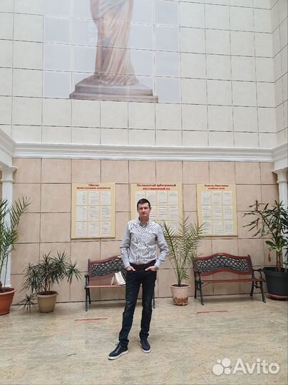 Юрист(адвокат) алименты развод раздел имущества