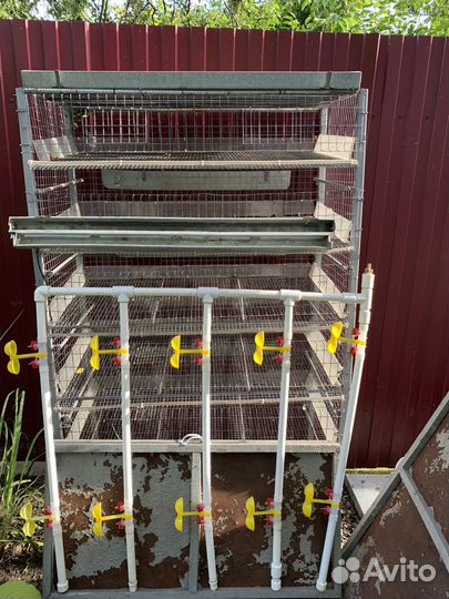 Клетки для перепелов бу