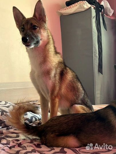 Осталась совсем одна