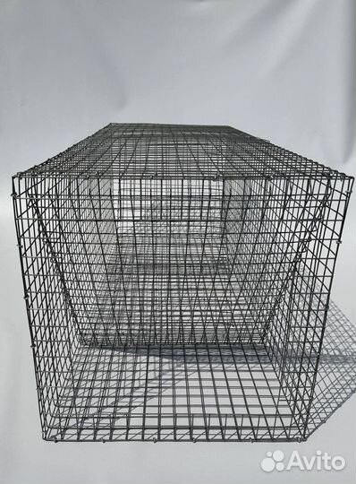 Ловушка для хорьков