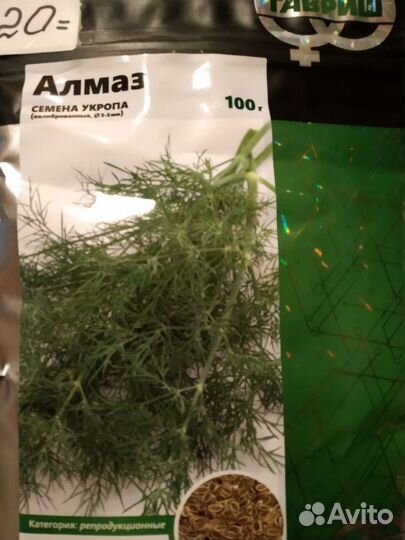 Укроп семена Аллигатор (многоразовая срезка)