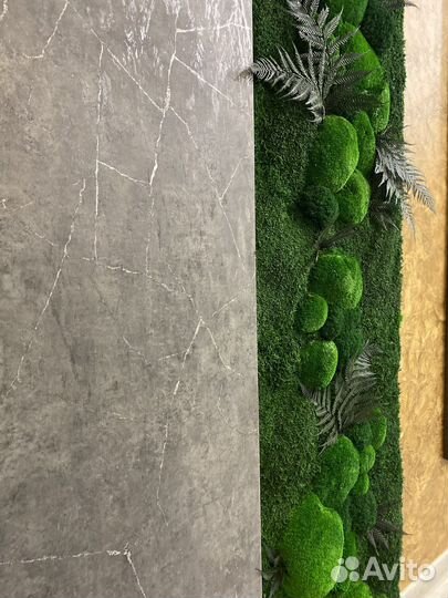 Стабилизированный Мох.Озеленение.Фитостена.Ремонт