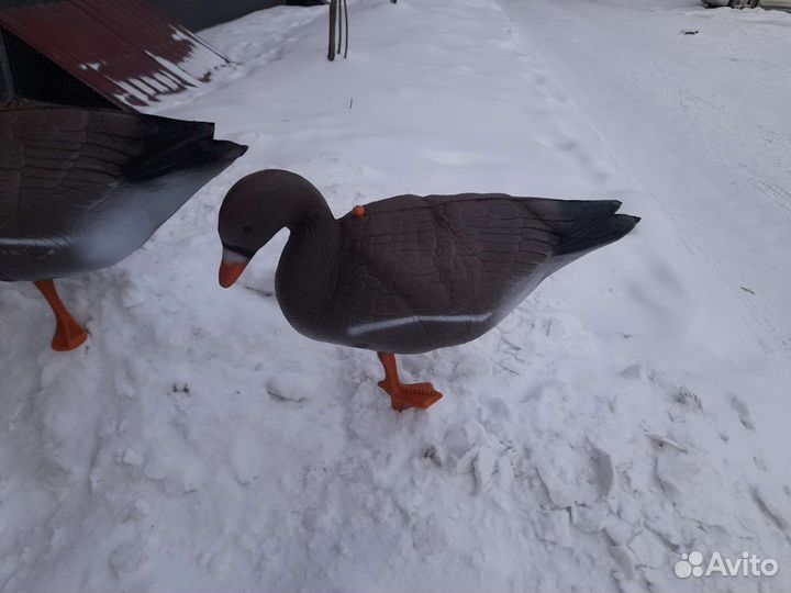 Чучела гусей комплект 15шт