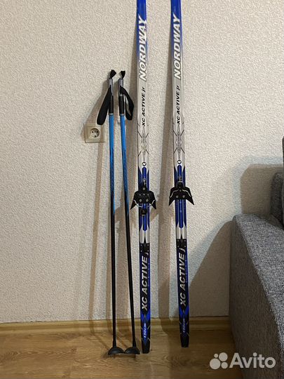 Беговые лыжи