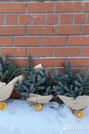 Новогодние подарки