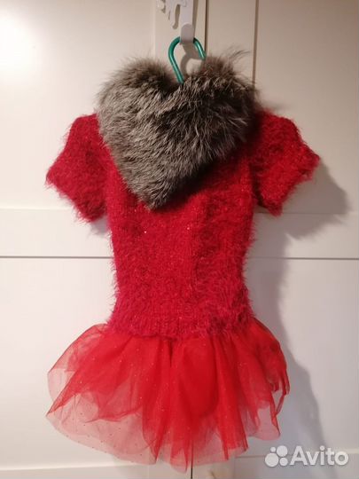 Тёплый наряд для собачки