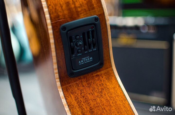 Электроакустика Kepma A1E-OM