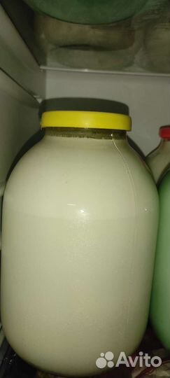 Молоко коровье