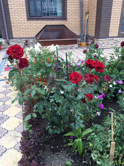 Коттедж 730 м² на участке 10 сот.