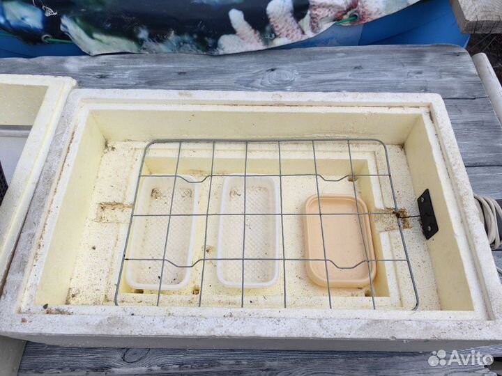 Инкубатор для яиц бу 