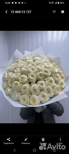 Розы Эквадор