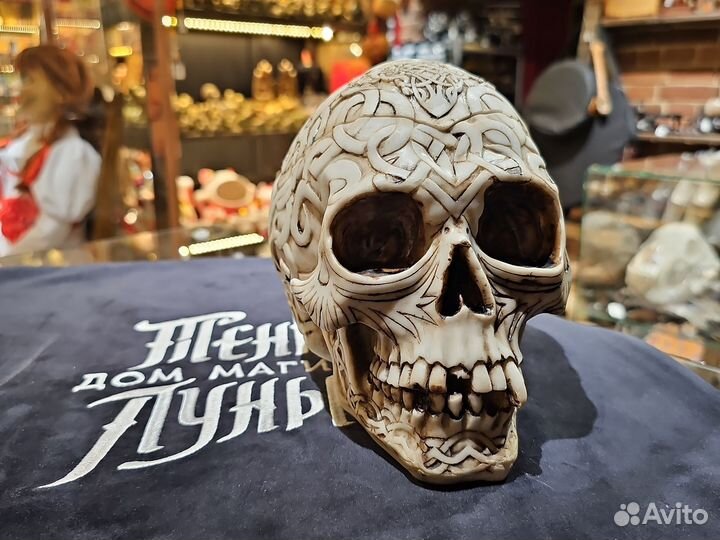 Череп Кельцкий шкатулка Nemesis now