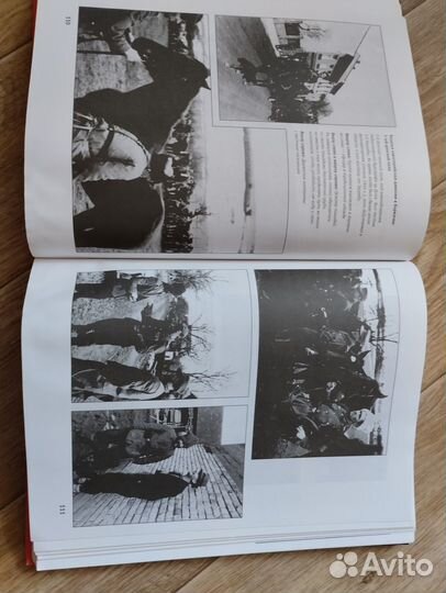 Книга казаки Паннвица