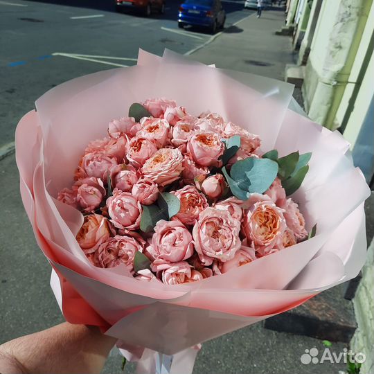 Розы Пиновыдные Кустовые розы