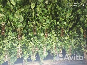 Веники для бани береза дуб