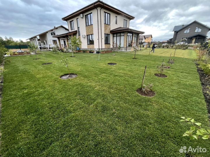 Рулонный газон высокого качества