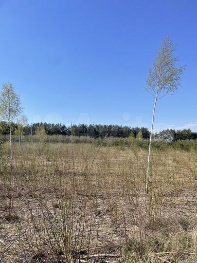 Участок 19,9 сот. (ИЖС)