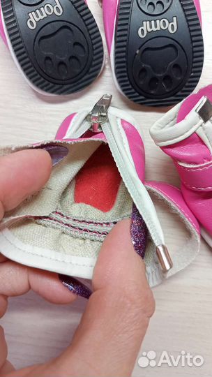 Ботинки для маленьких собак