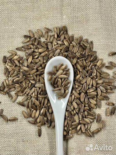 Расторопша / Семена расторопши