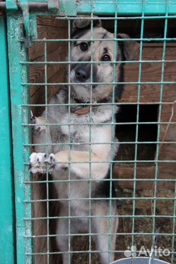 Выбери меня хоть раз, пожалуйста