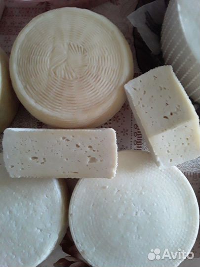 Домашнее молоко,сметана,творог,сыр