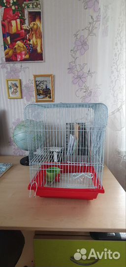 Маленькая клетка для хомяков
