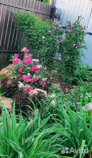 Опора для растений (клематисов и др.)