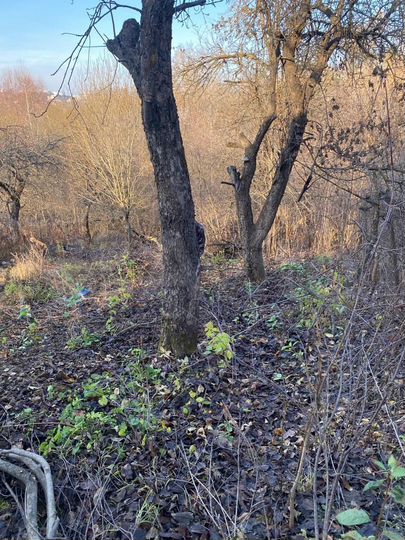 Участок 5,5 сот. (СНТ, ДНП)