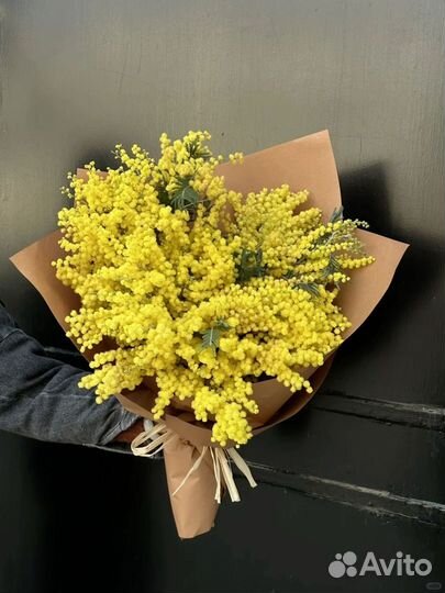 Итальянская мимоза на 8 марта