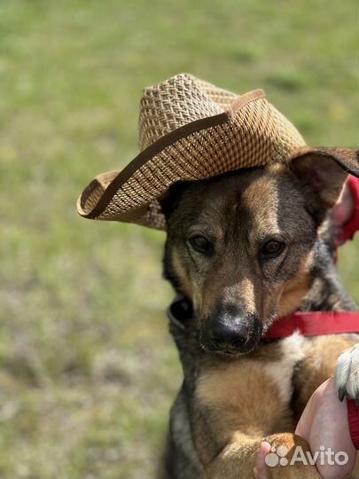 Жизнерадостному Рикки плохо в приюте