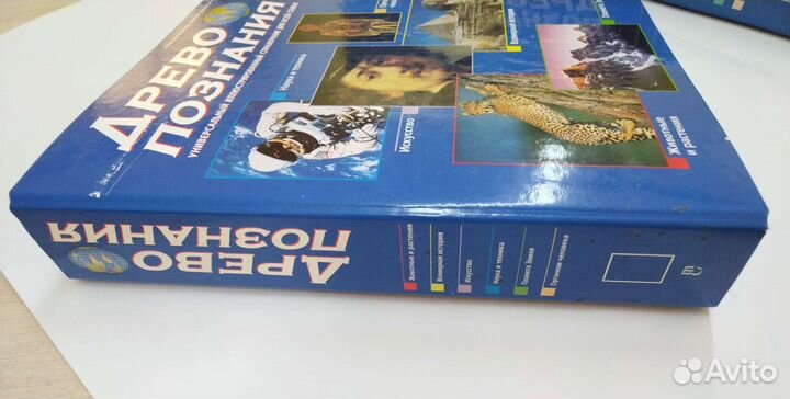 Папка на кольцах А4 скоросшиватель Древо познания