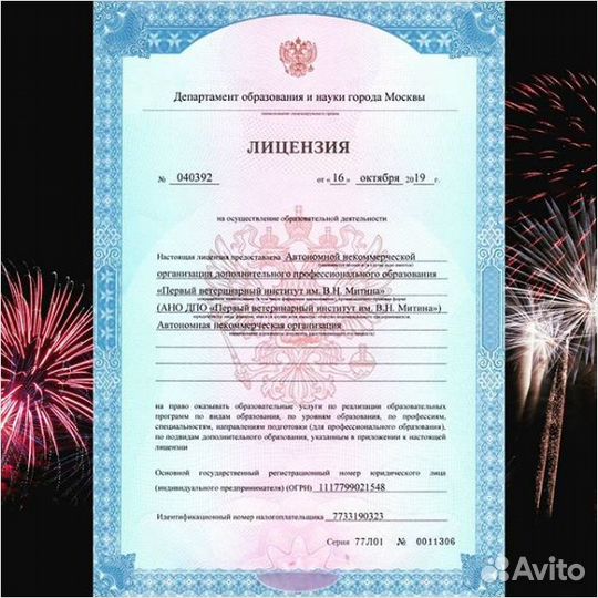 Образовательная Лицензия (под ключ)