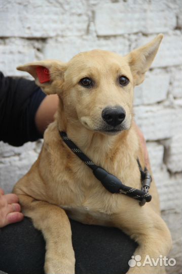 Подари жизнь тем у кого даже нет шанса