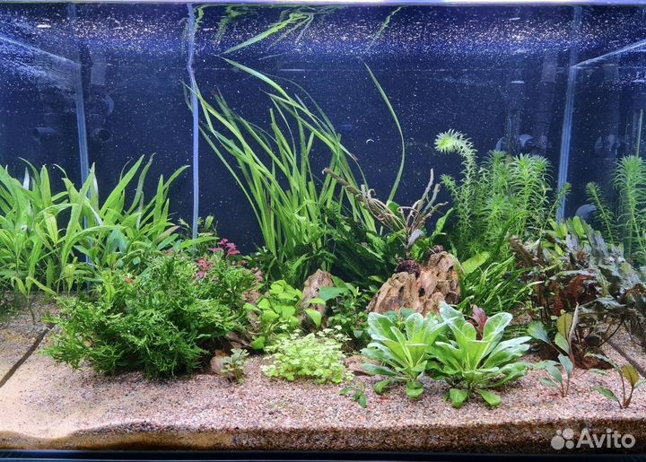 Аквариум с оборудованием