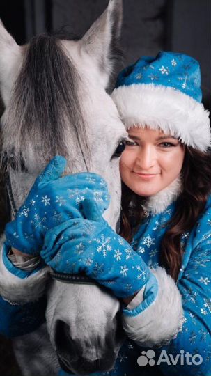 Дед Мороз и Снегурочка на лошадях