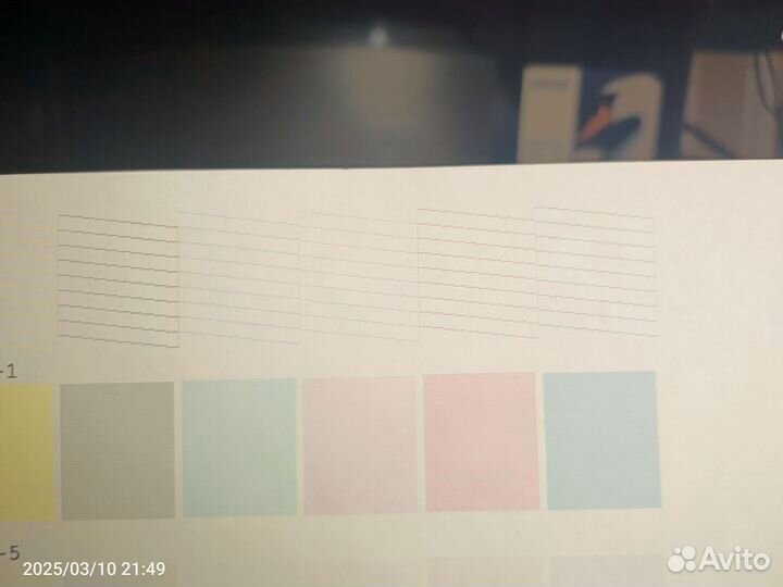 Epson r1410 A3+ полостью рабочий с снпч